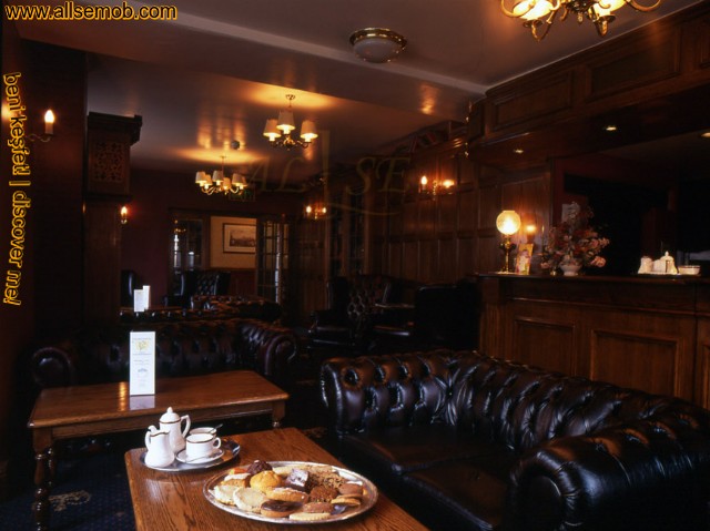 Chester Koltuk Cafe Bar Restoran Tasarımı Lüks Deri Chester Dekorasyon